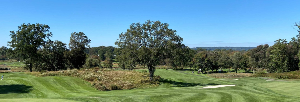 Beautiful grassy golf course with bright blue sky
